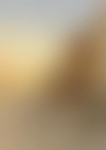 Evening in Venice (preview)
