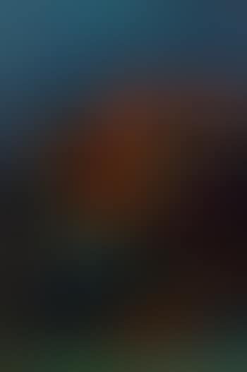 Bellevue hill at night (preview)