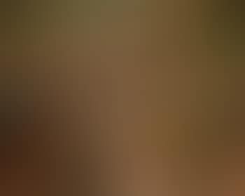 Women around the lotus pond (preview)
