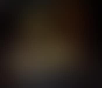 Still life of oysters, silver tazza with oranges, fish other fruits onL15 a draped table (preview)