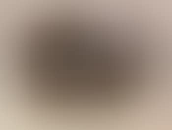 Still life (preview)