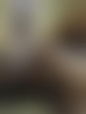La cathedrale (preview)