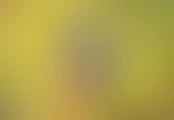 Sonne (preview)
