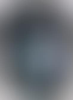 Visage (preview)