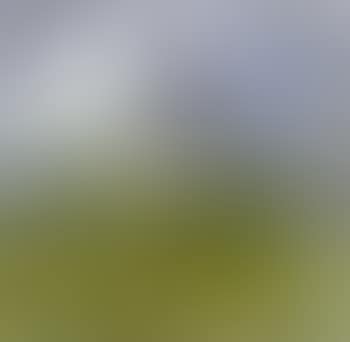 Paysage (preview)