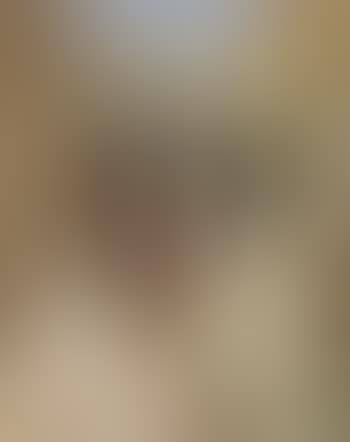 Les amoureux (preview)