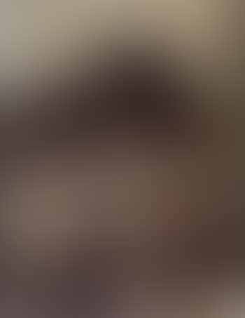 Oranger (preview)