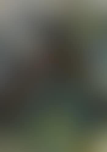 Eiffel tower, Paris (preview)