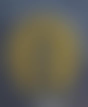 Solaris (preview)