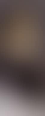 Chimney sweep (preview)