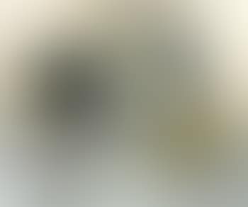 Still life of old china (preview)