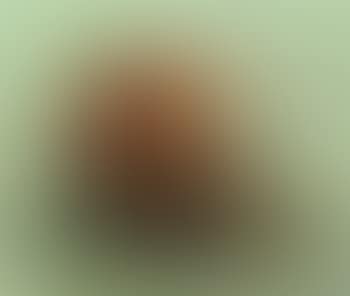 Nature morte au panier de fruits (preview)