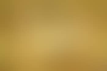 Nature morte (preview)