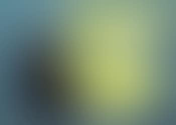 Composition (preview)