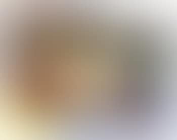 Gauloises (preview)