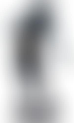 Le monotor (preview)