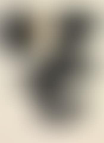 Composition (preview)