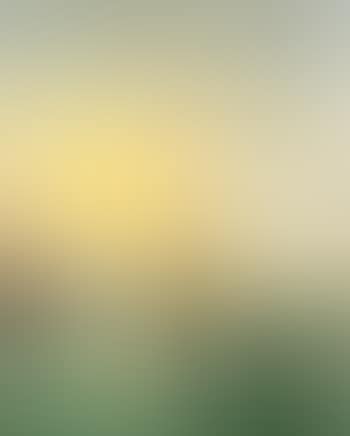 Three fishing boats leaving harbour at dawn (preview)
