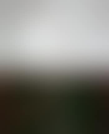Early morning (preview)