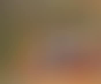 Nature morte aux oranges (preview)