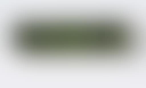 Untitled, 84-48 Lippincott (preview)