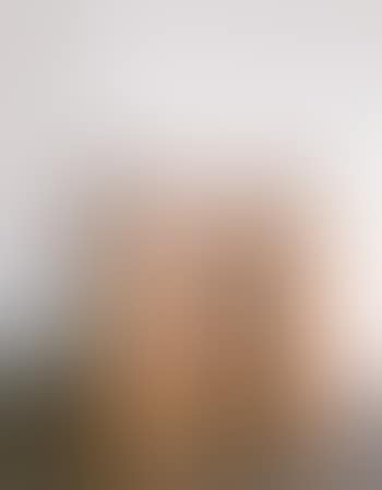 Painter (preview)