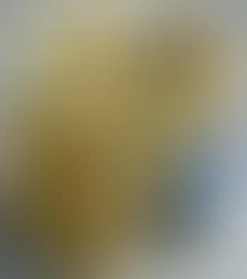 Compression Lucas (preview)