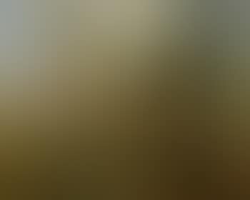 Paysage de campagne (preview)