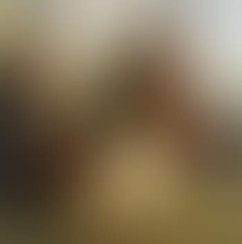 Gypsy woman caught by police (preview)