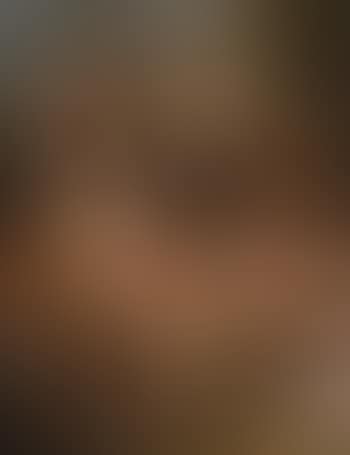 Revel of Bacchus and Silenus (preview)