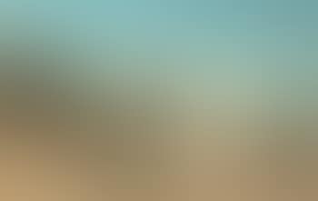 Vue d'Egypte (preview)
