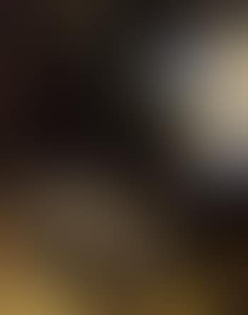 Nature morte aux colverts, perdreaux ramiers et lievre dans un paysage (preview)
