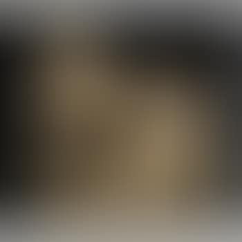 Brigand assailing two women (preview)