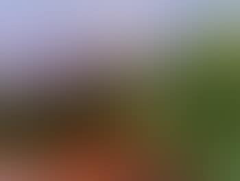 Landscape, Koster (preview)