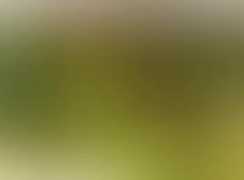 Fields between mountains (preview)