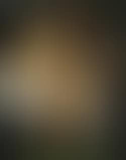Nu assis (preview)