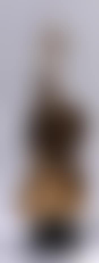 Violon (preview)
