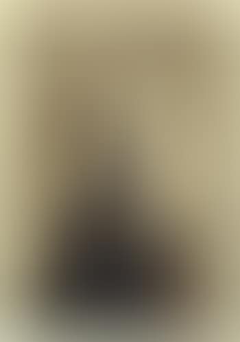 Portrait of the artist's mother (preview)