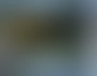 Untitled landscape (preview)