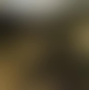 Landscape (preview)