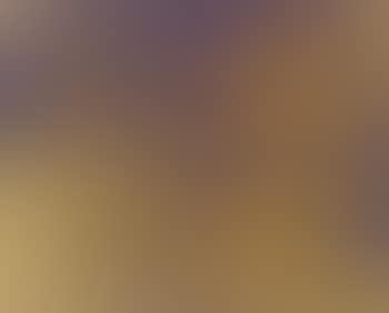 Still life of a vase (preview)