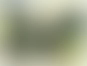 Alpine landscape (preview)