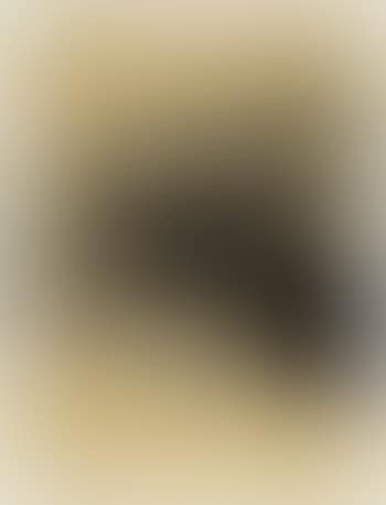 Two men leaning forward (preview)