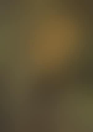 Figure (preview)