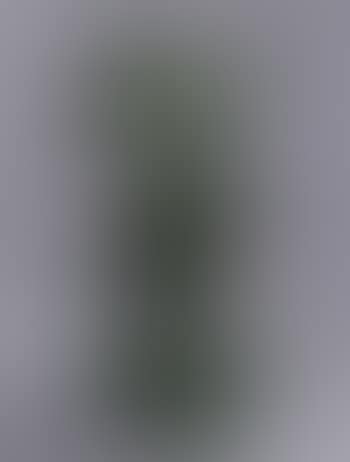 Caballo loco (preview)