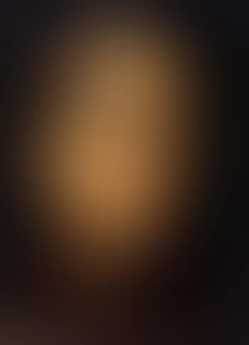 Portrait of a lady (preview)