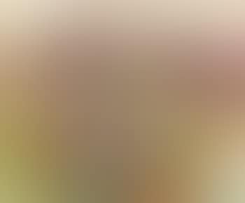 Study for Hide and Seek (preview)