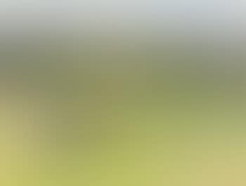 Girl in the Garden (preview)