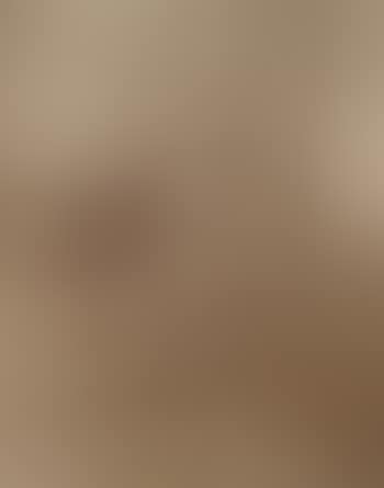 Versailles, Bosquet de l'Arc de Triomphe (preview)