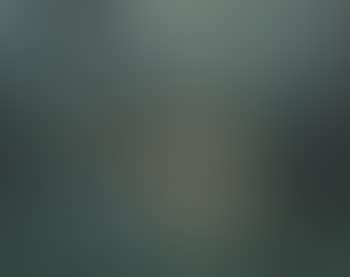 Paysage (preview)